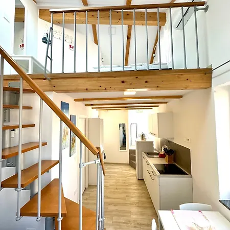 Old Starfish * Piran