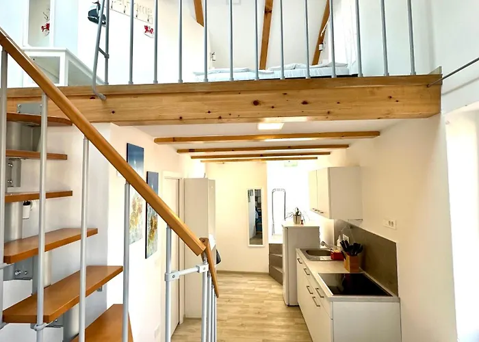 Old Starfish * 皮兰